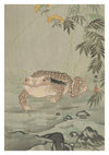 Toad Next to a Flowering Plant print