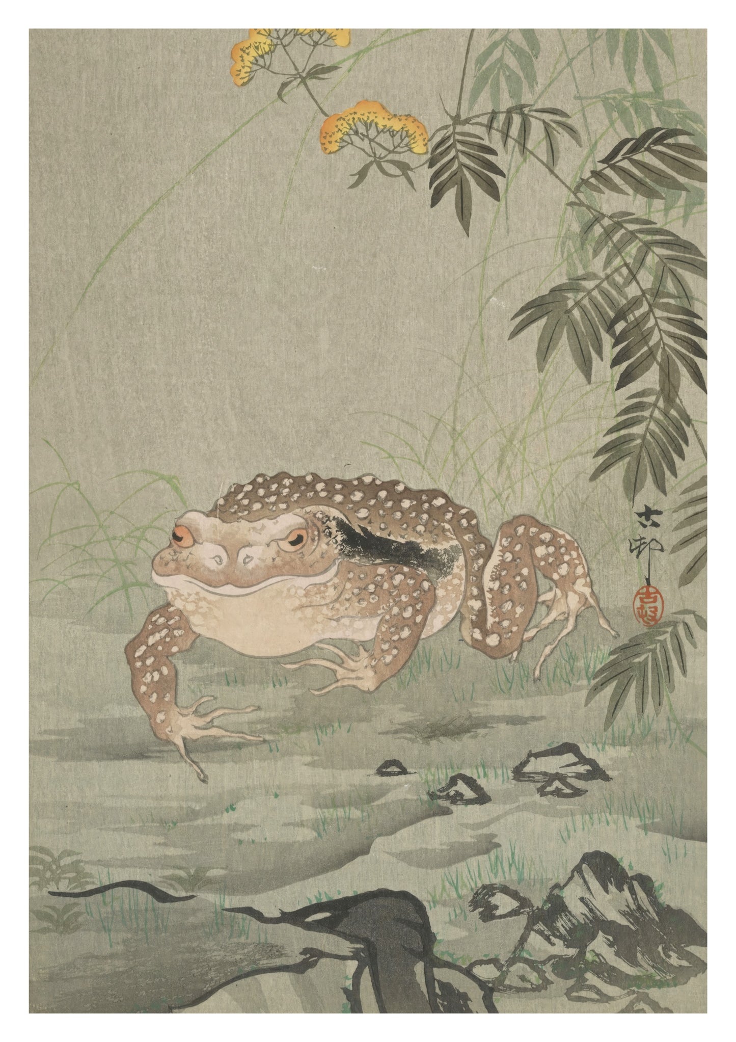 Crapaud à côté d'une plante fleurie