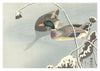 Two Ducks at Snowy Lotus print
