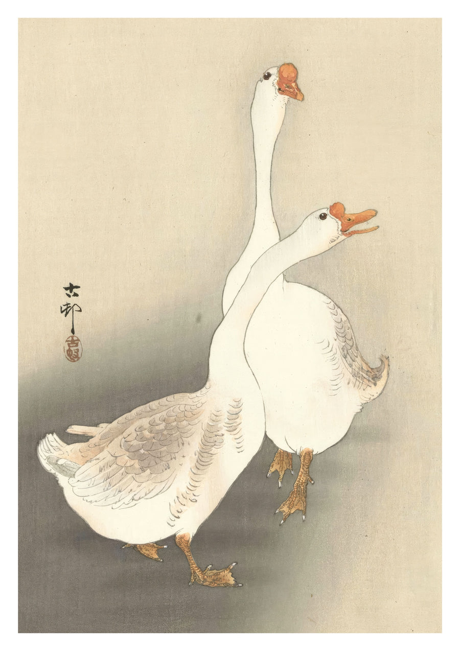 Twee ganzen - Print Only frame