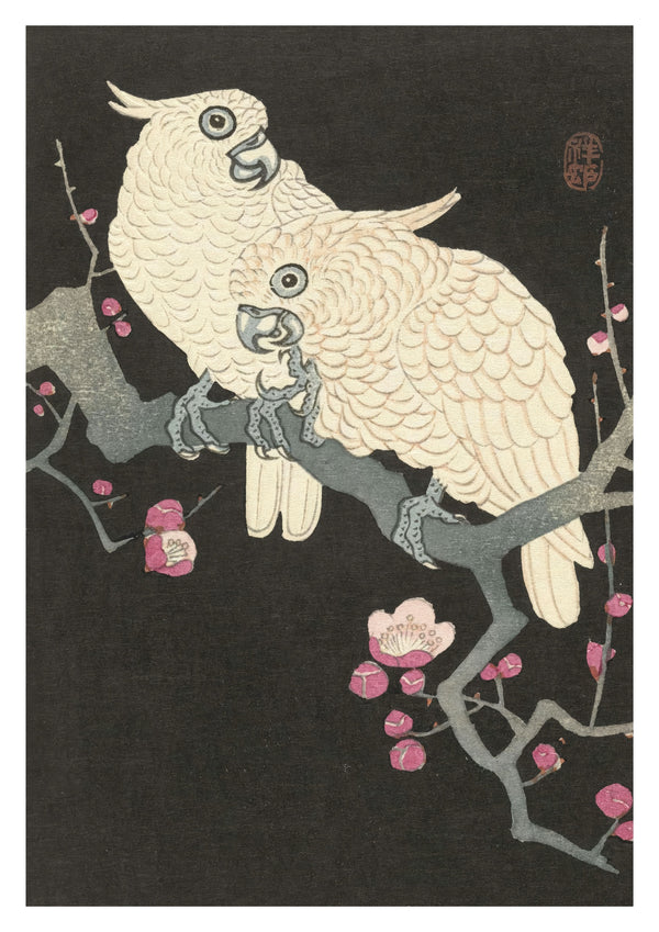 Two Cockatoos on Branch with Plum Blossom