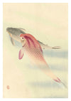 Two Carp print