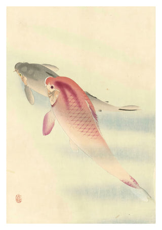 Two Carp print