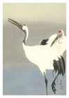 Two Cranes print