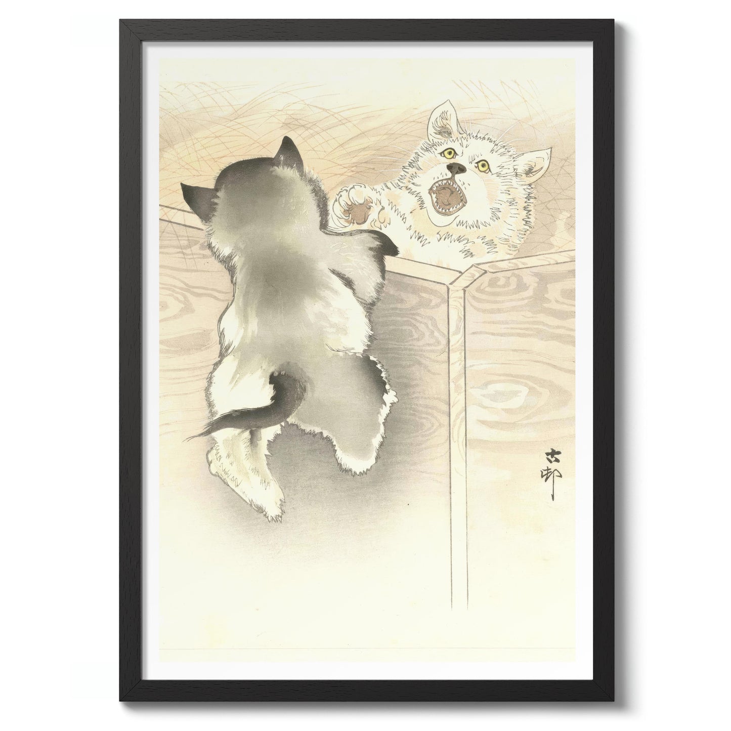 Zwei spielende kleine Hunde