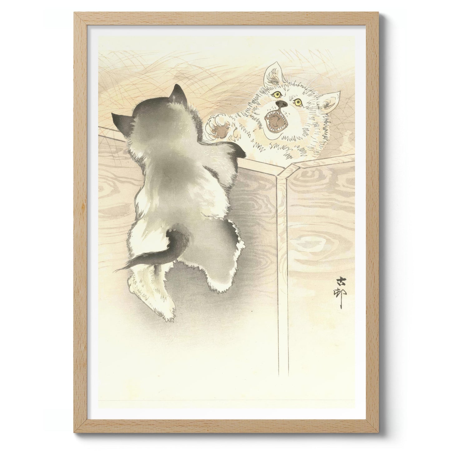 Zwei spielende kleine Hunde