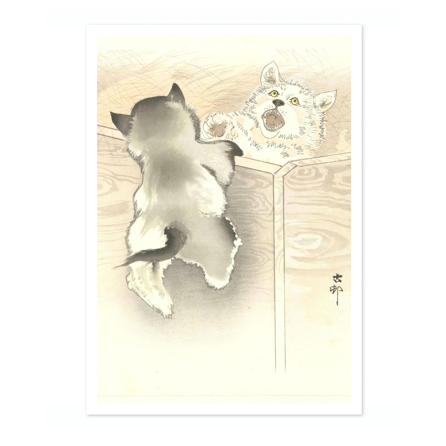 Zwei spielende kleine Hunde