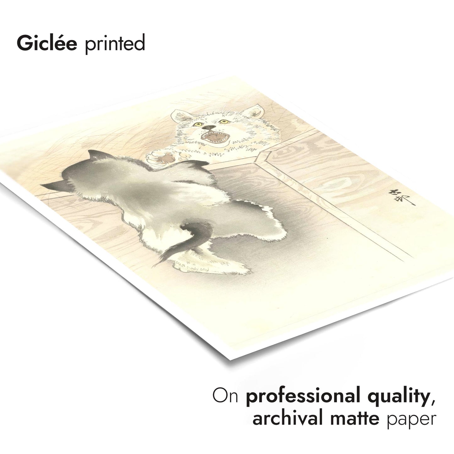 Zwei spielende kleine Hunde