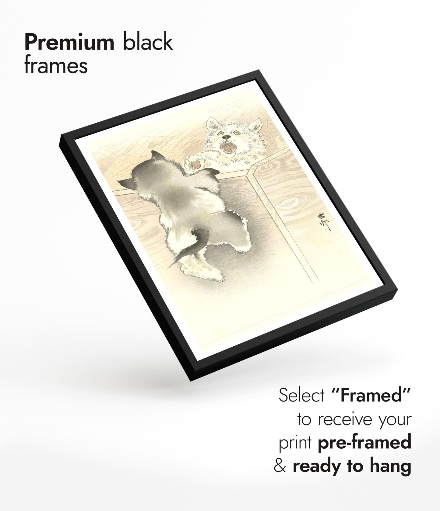 Zwei spielende kleine Hunde