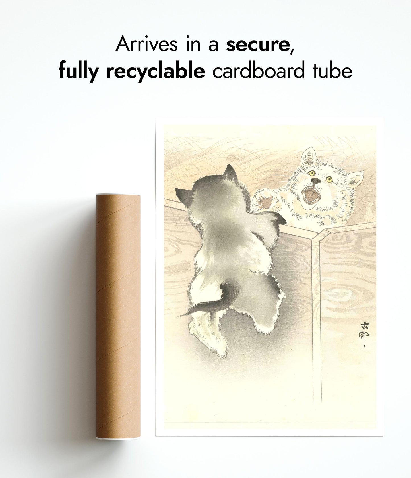 Zwei spielende kleine Hunde