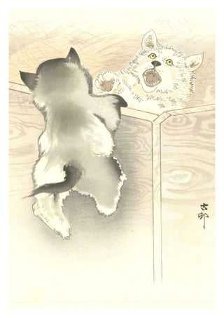 Zwei spielende kleine Hunde print