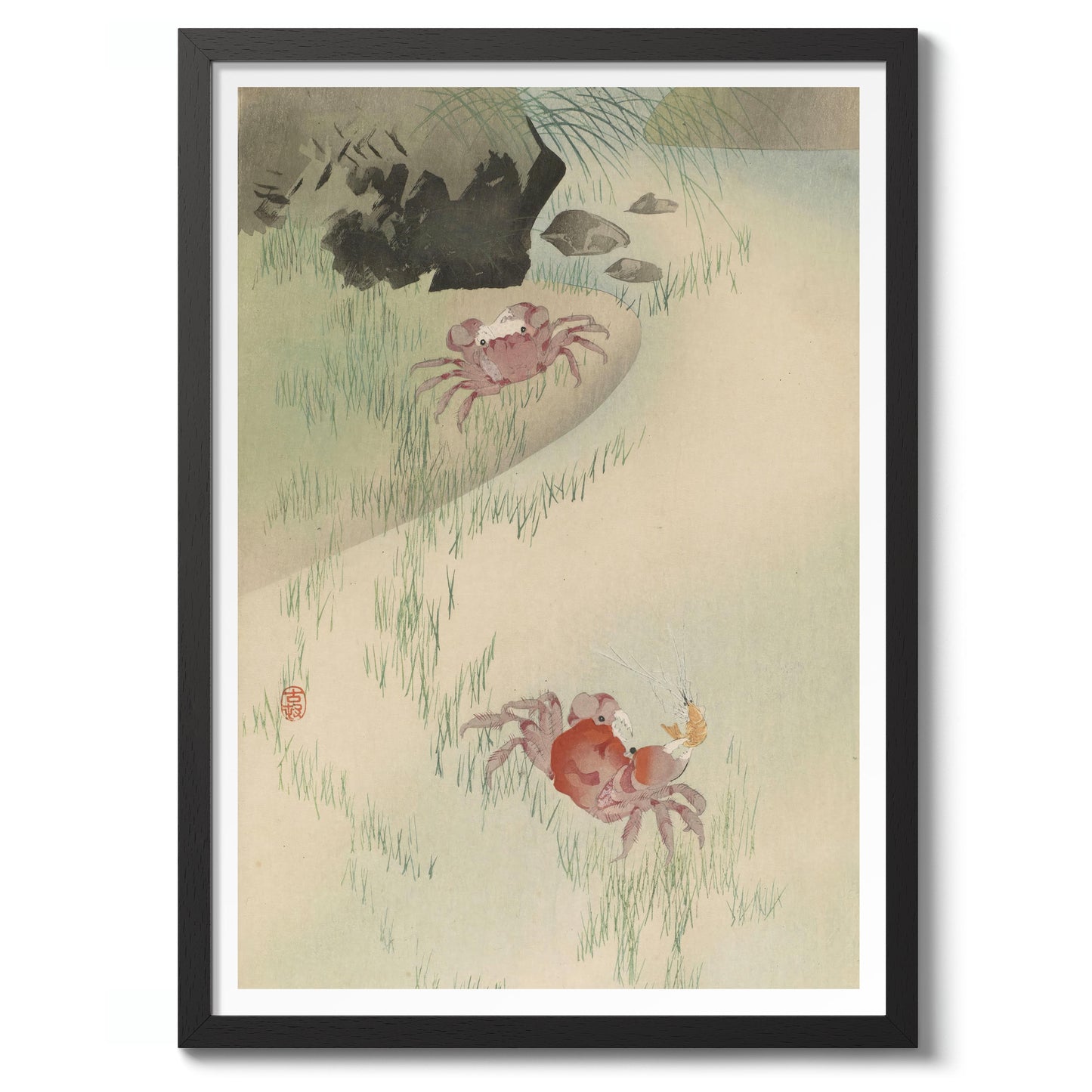 Twee krabben, riet erachter