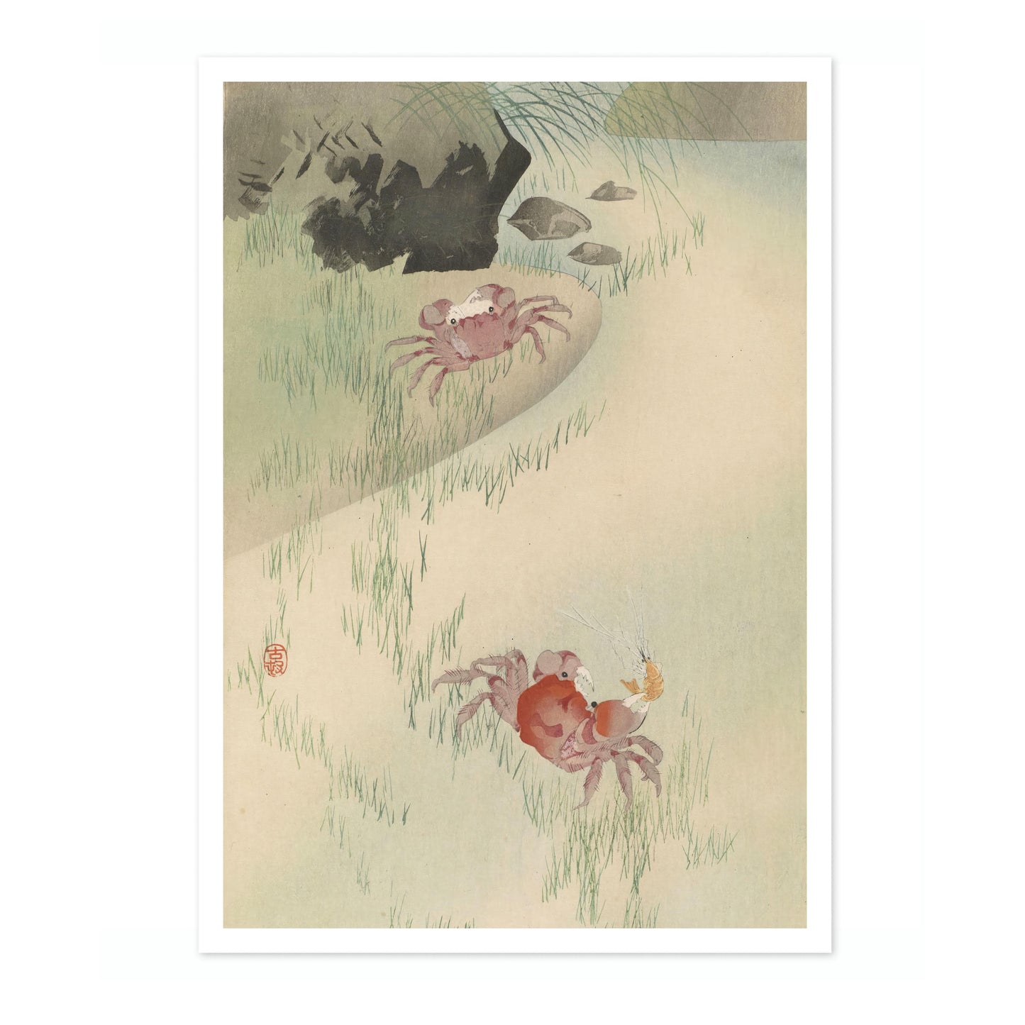Twee krabben, riet erachter