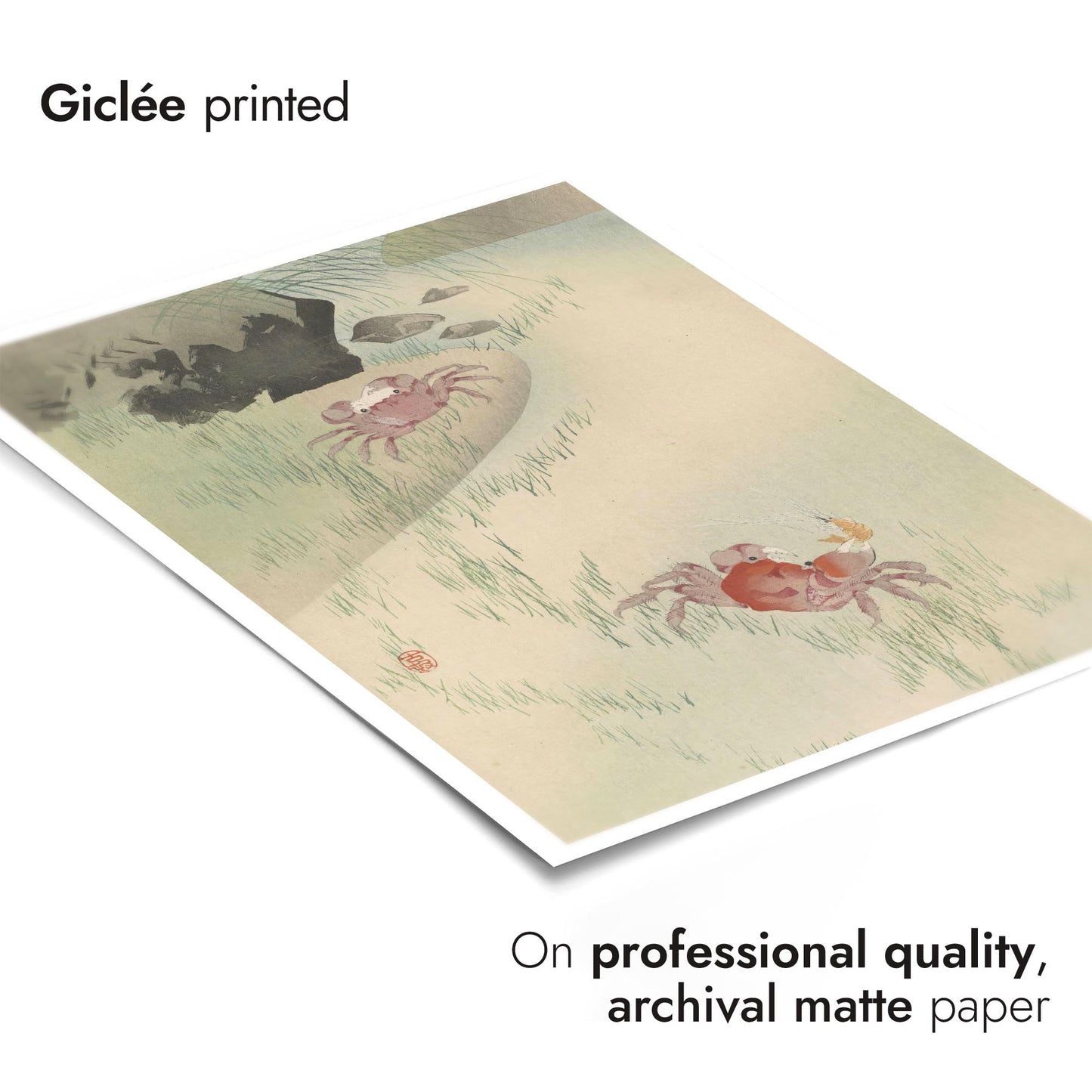 Twee krabben, riet erachter