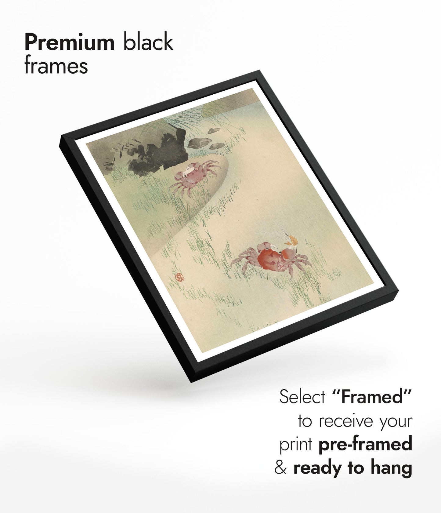 Twee krabben, riet erachter