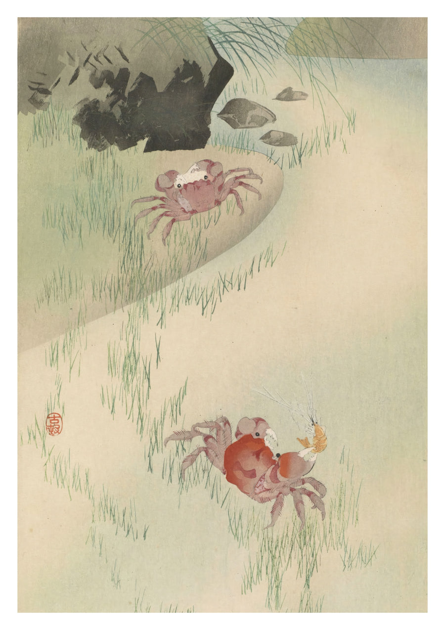Twee krabben, riet erachter - Print Only frame