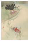 Two Crabs, Reeds Behind print
