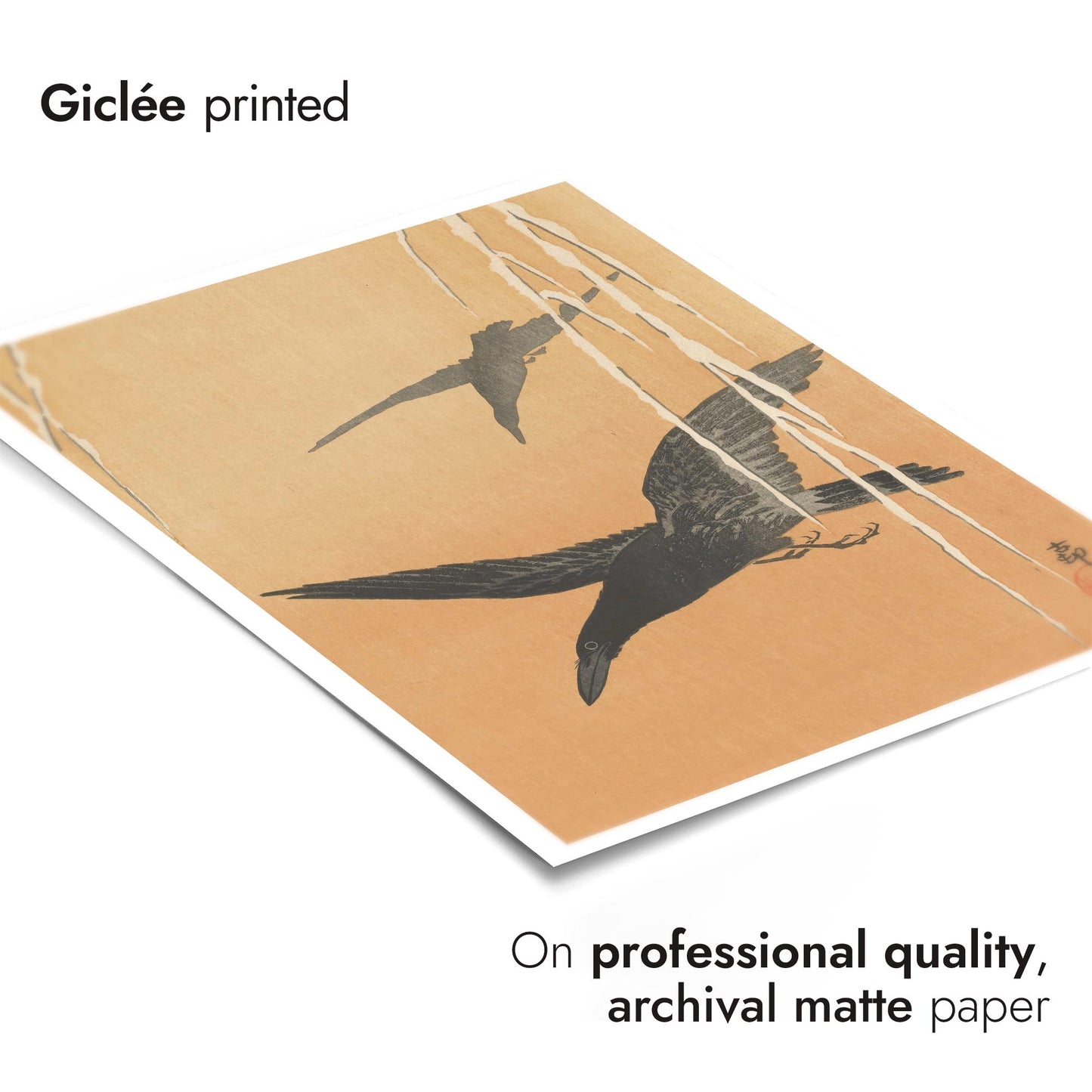 Two Crows in Flight & Snow-Covered Willow