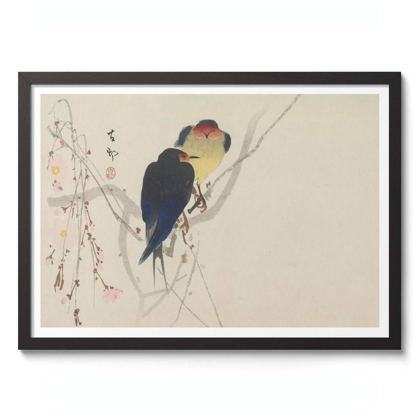 Two Swallows Perched on Weeping Cherry