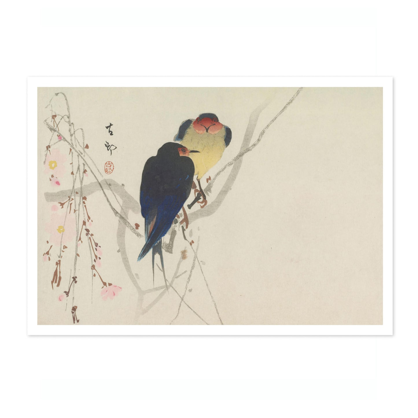 Two Swallows Perched on Weeping Cherry