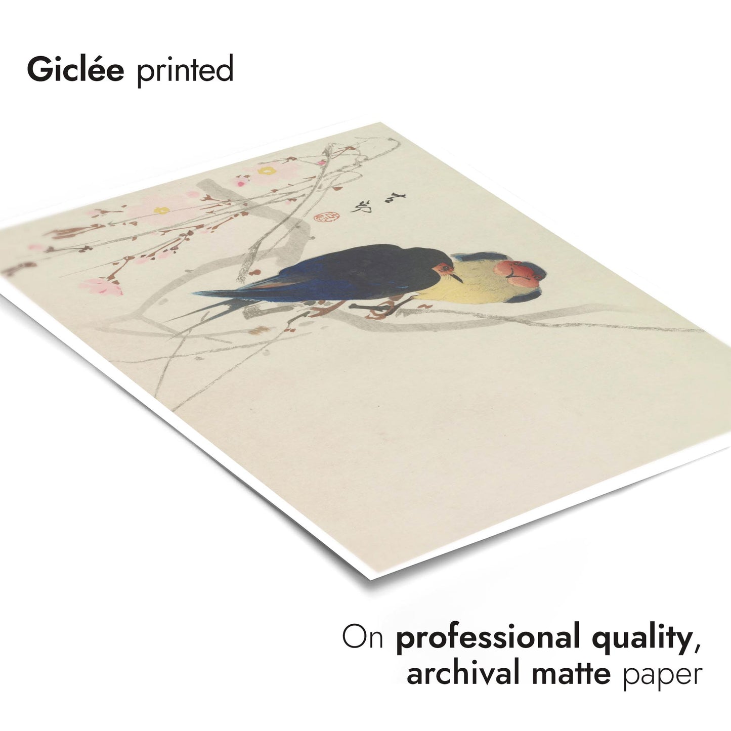 Two Swallows Perched on Weeping Cherry