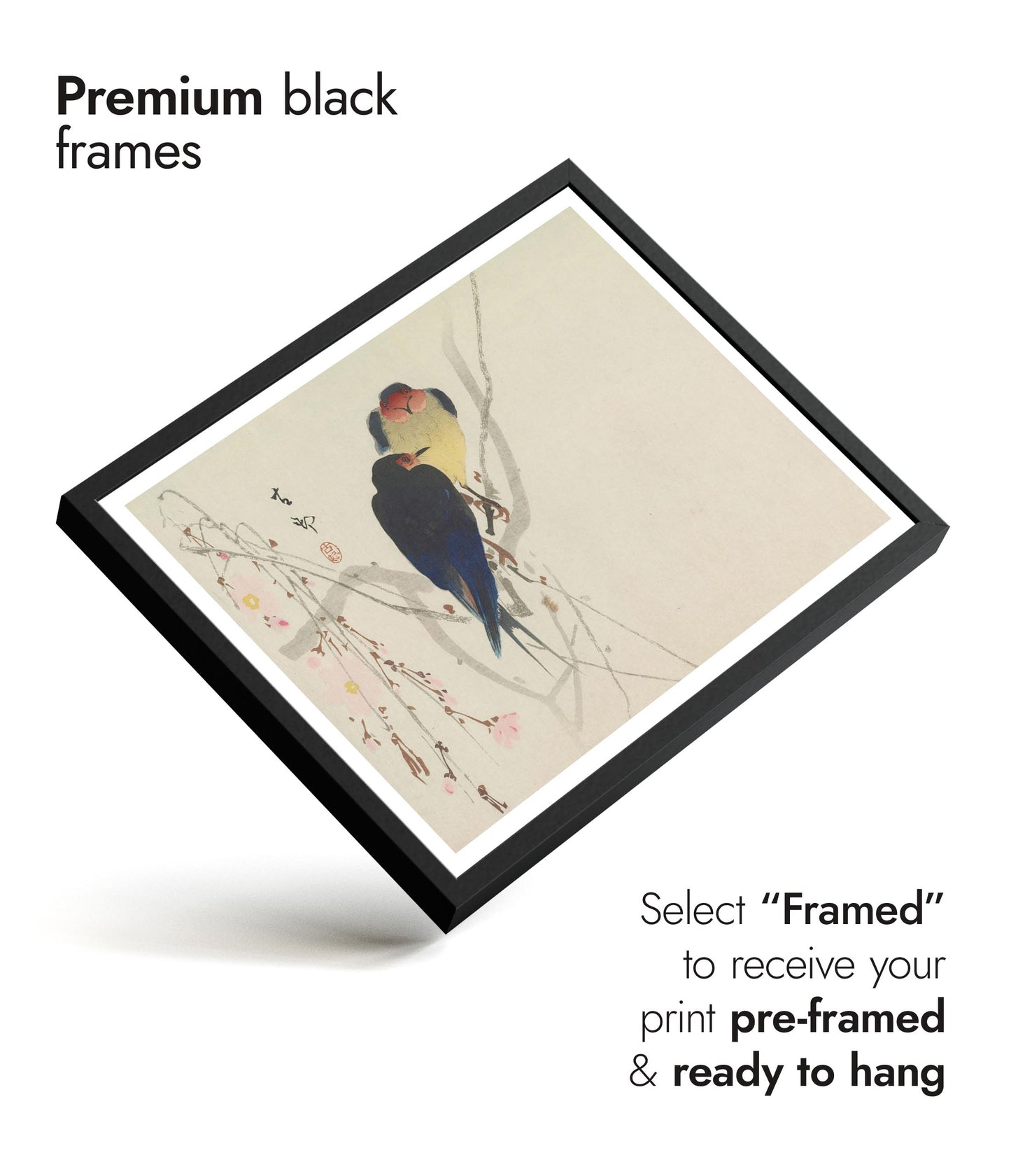 Two Swallows Perched on Weeping Cherry