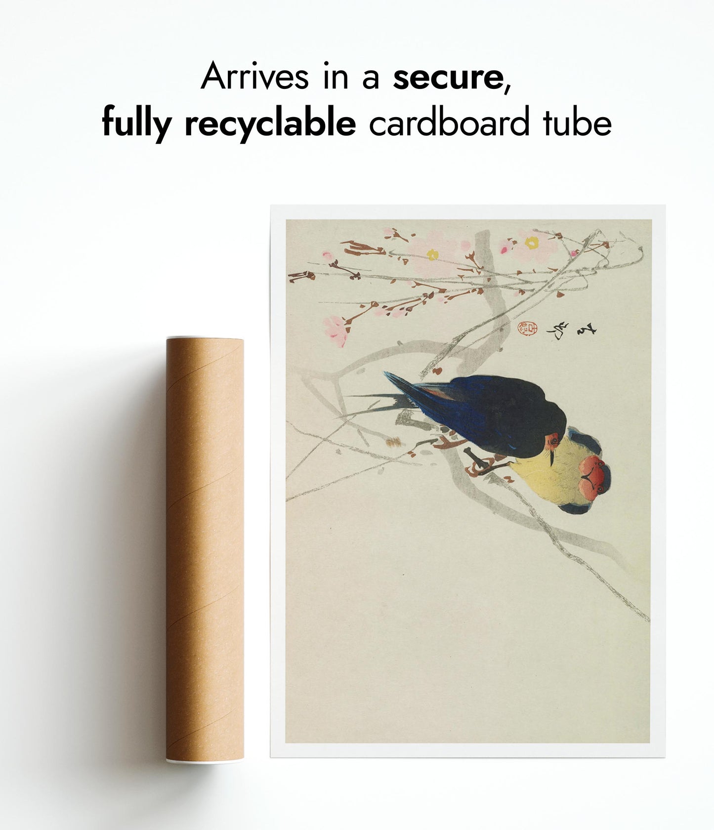 Two Swallows Perched on Weeping Cherry