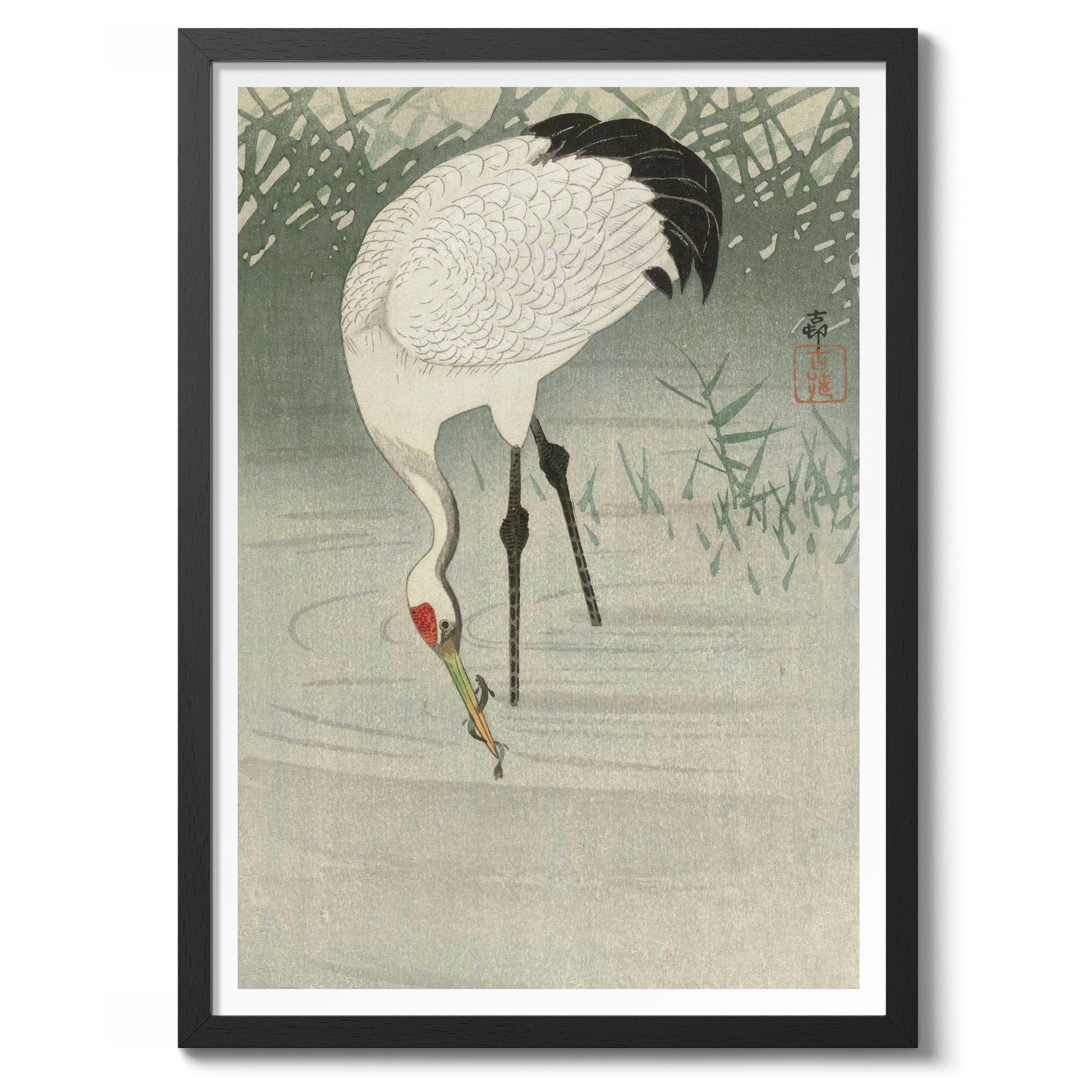 Viskraan in ondiep water