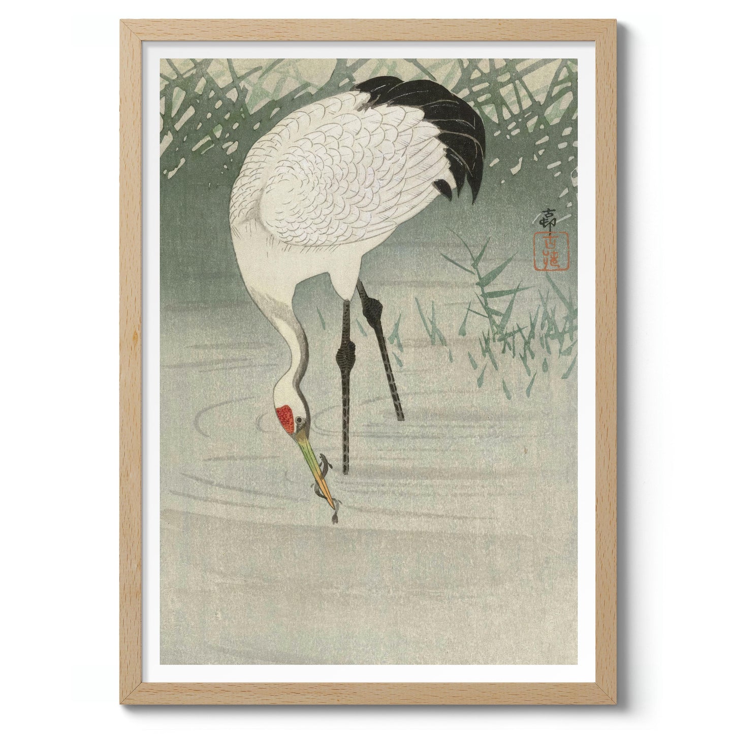 Viskraan in ondiep water