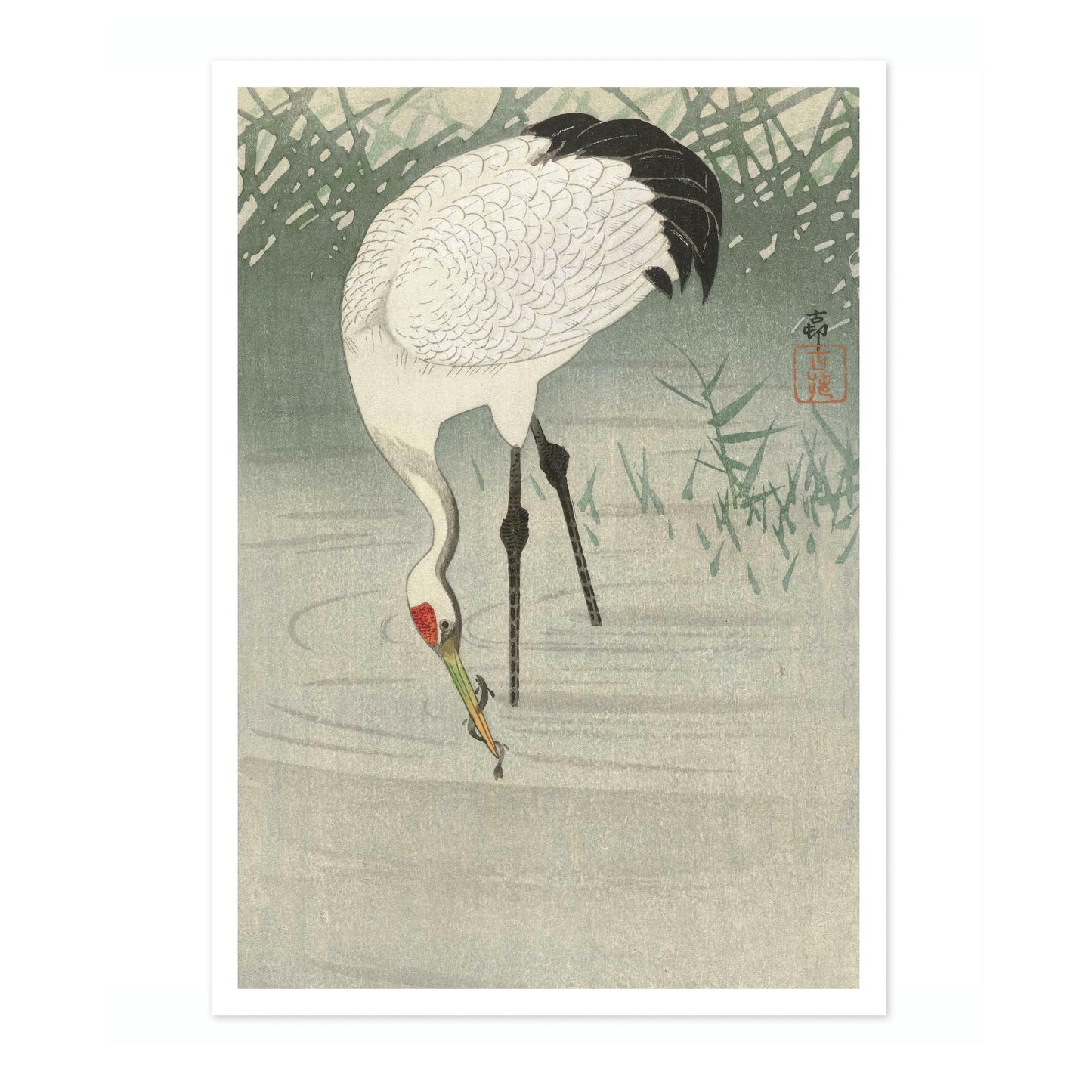 Viskraan in ondiep water