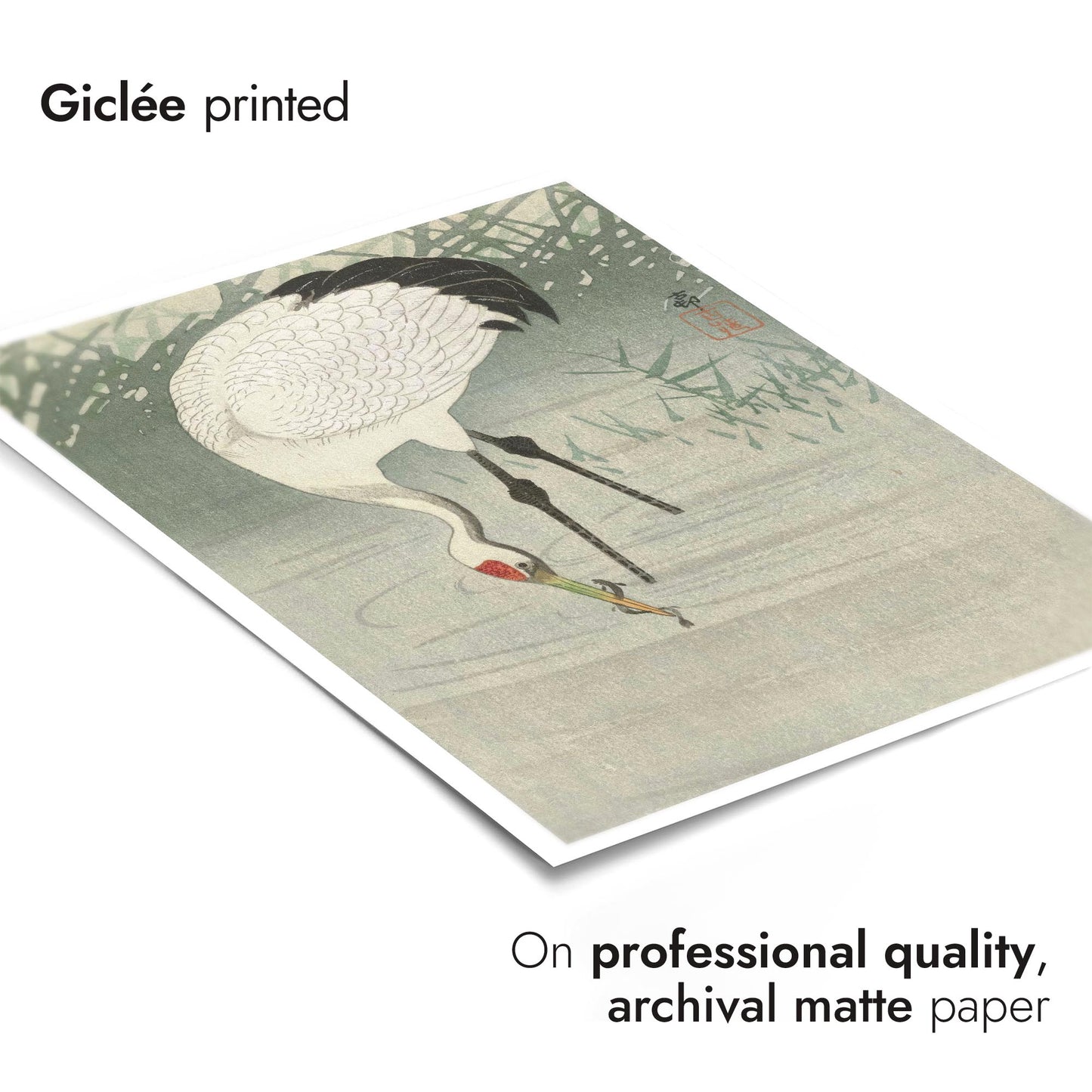 Viskraan in ondiep water