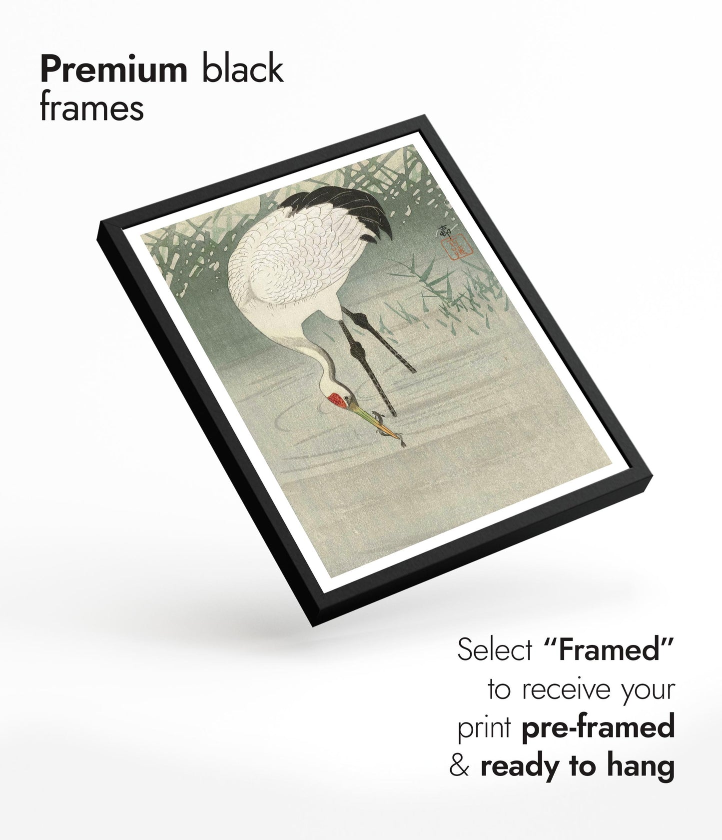 Viskraan in ondiep water