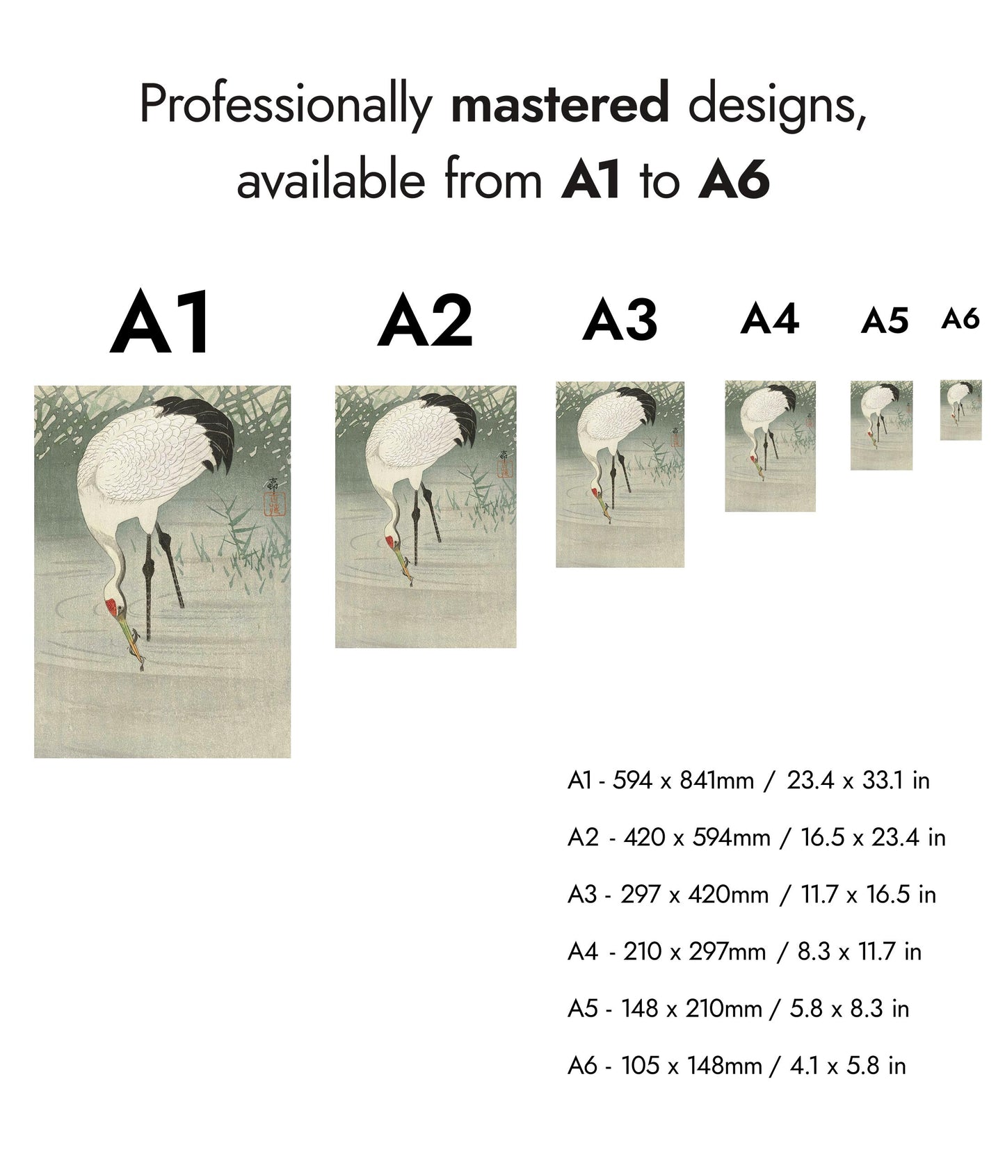 Viskraan in ondiep water