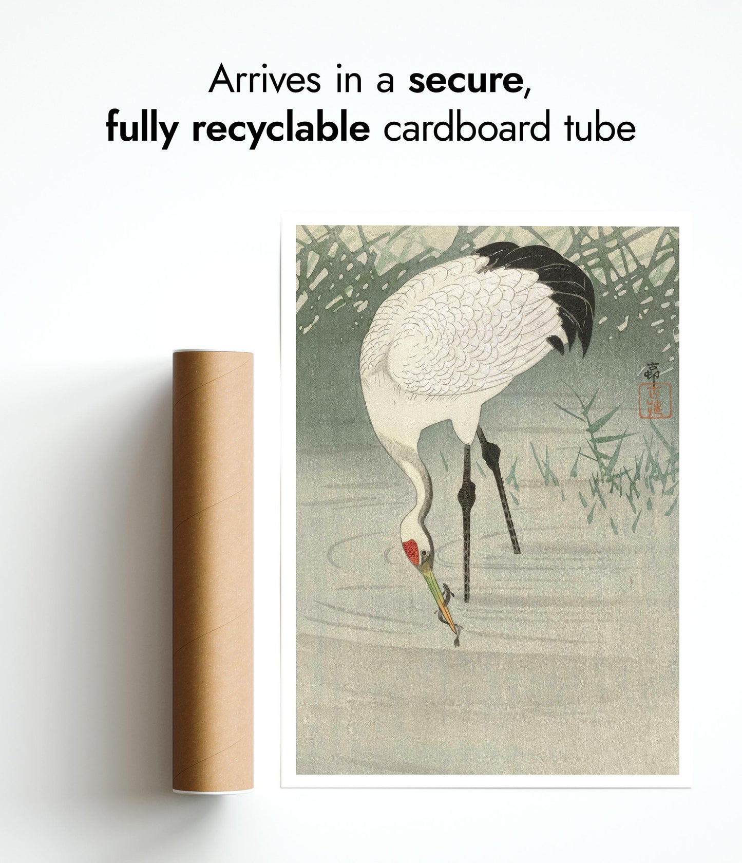 Viskraan in ondiep water