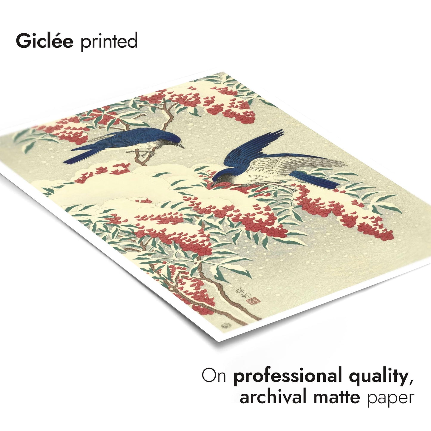 Flycatchers on a Nandina Bush