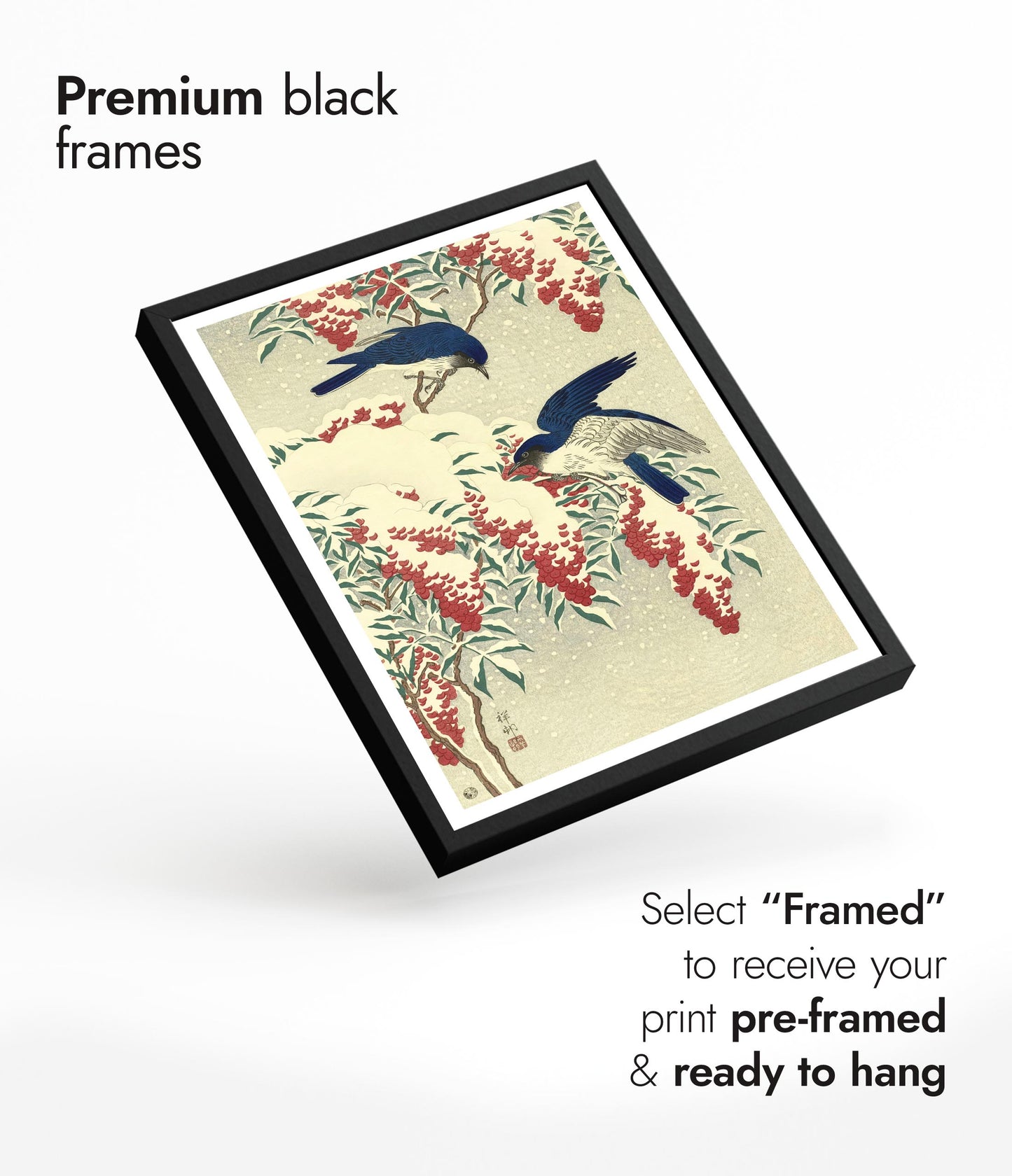 Flycatchers on a Nandina Bush