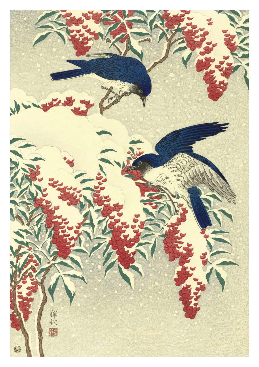 Moucherolles sur un buisson de nandina - Print Only frame