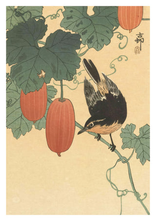 Vogel & Persimone print