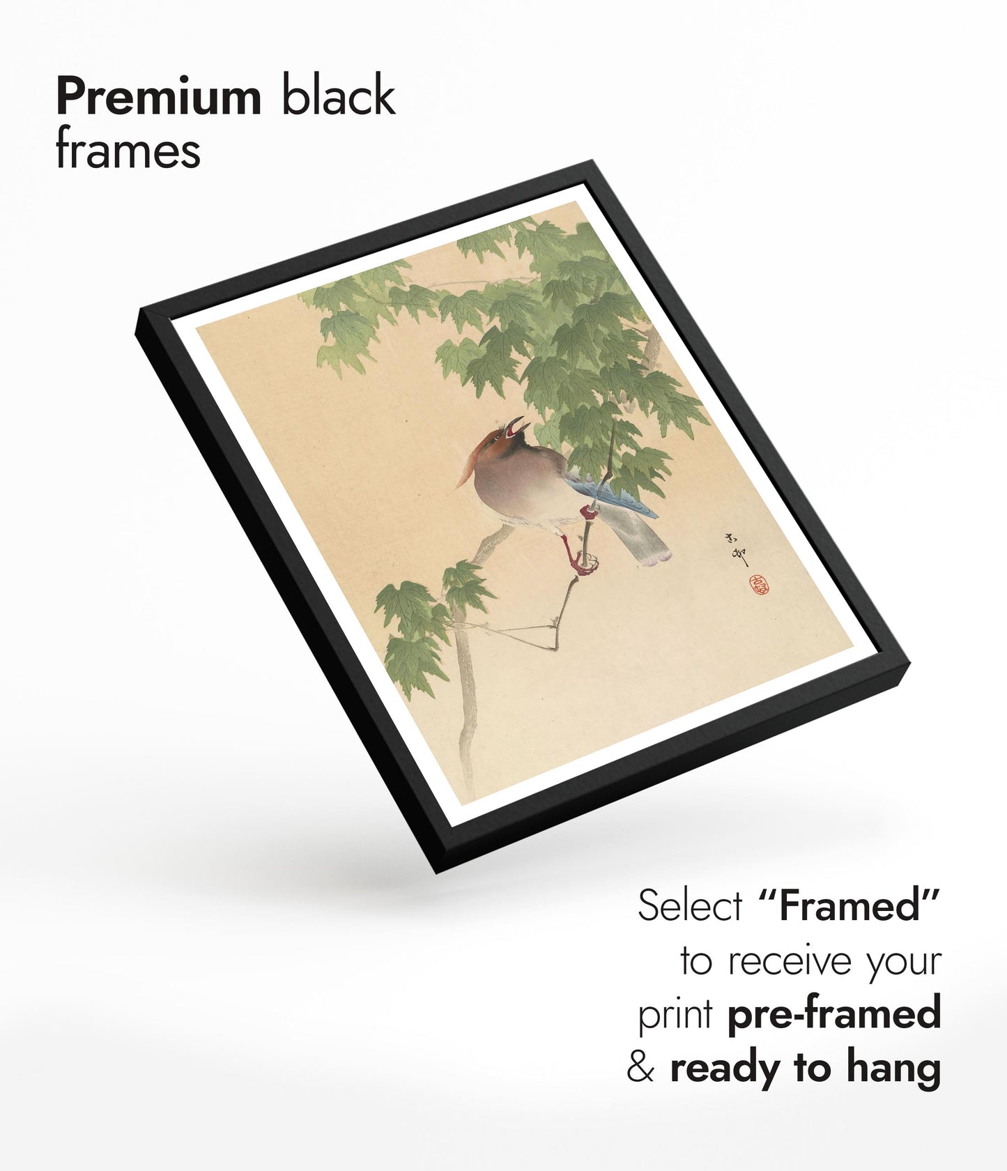 Waxwing op esdoornboom