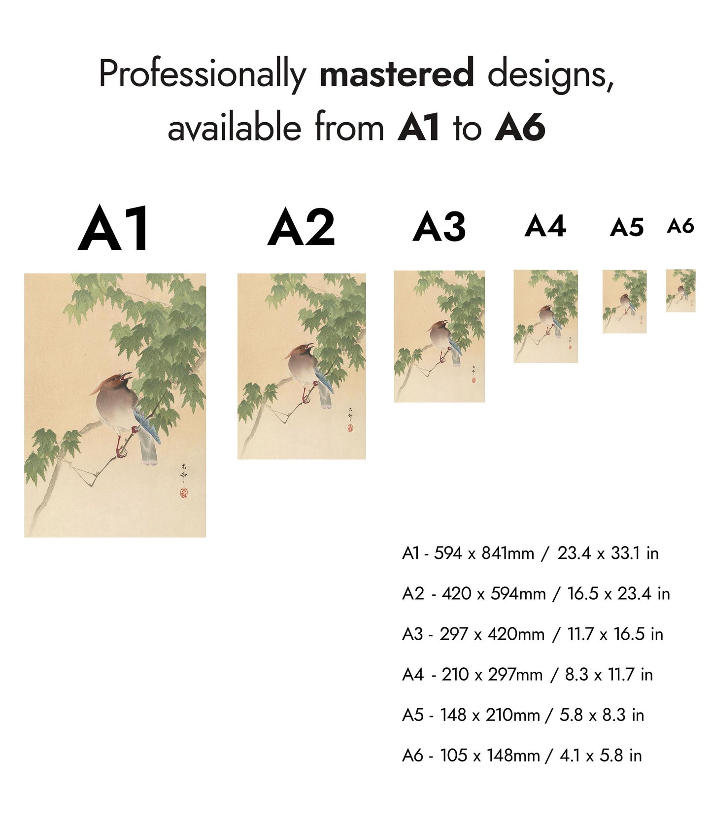 Waxwing op esdoornboom