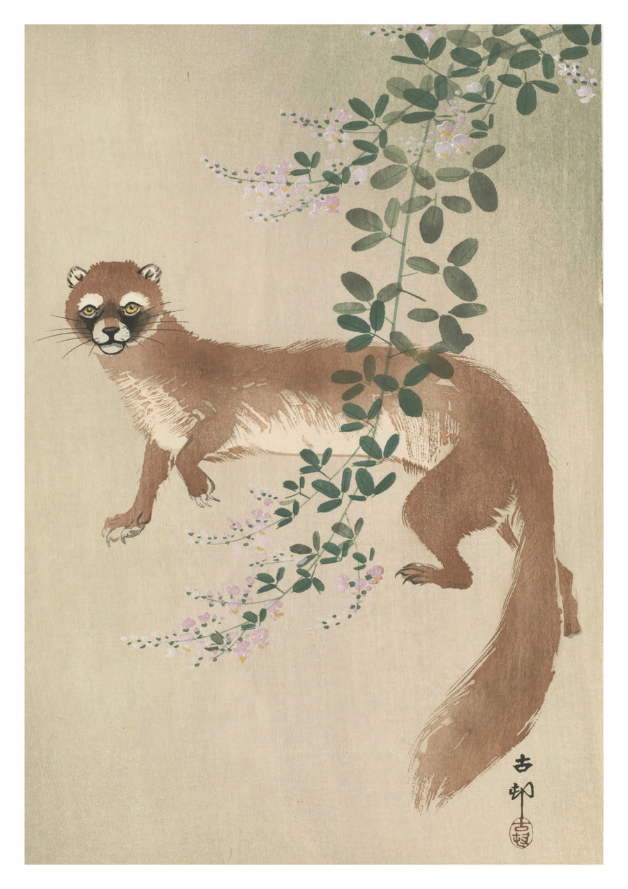 Weasel & Flowering Bush Clover - Print Only frame