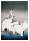 Egrets in the Snow print
