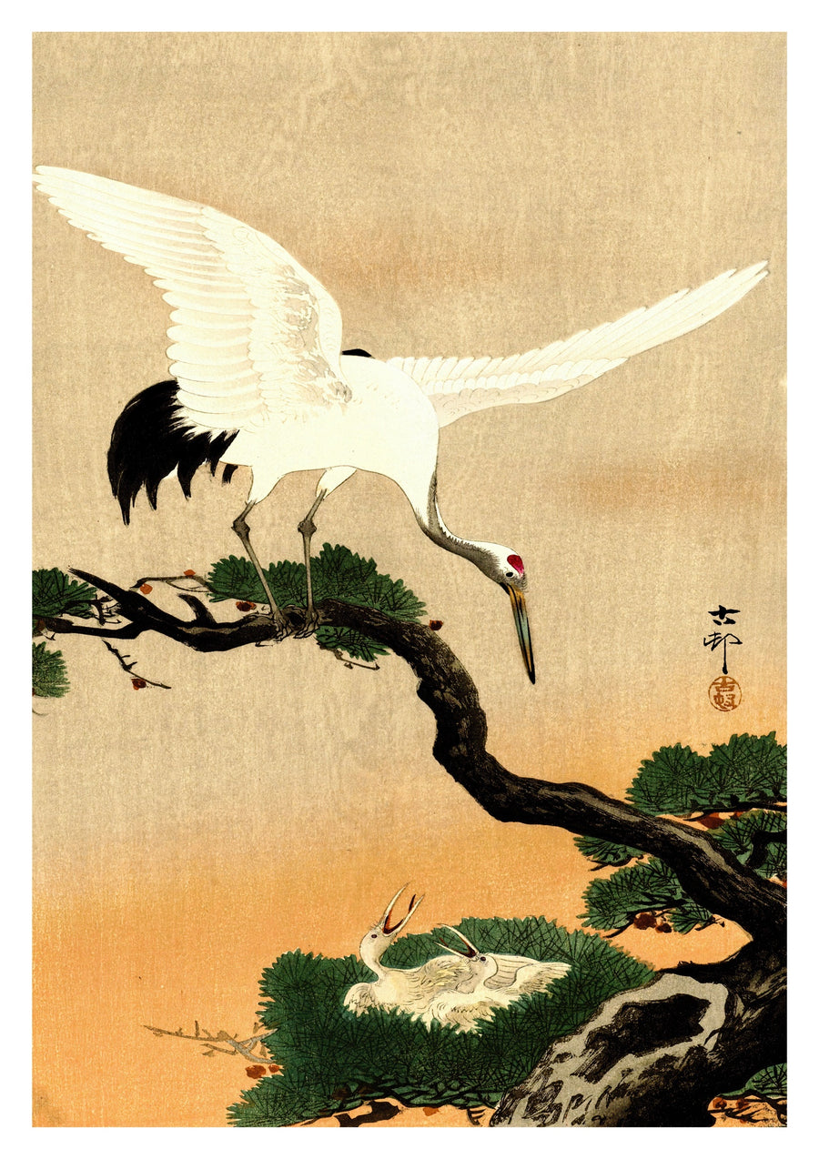 Crane Feeding Her Chicks - Print Only frame