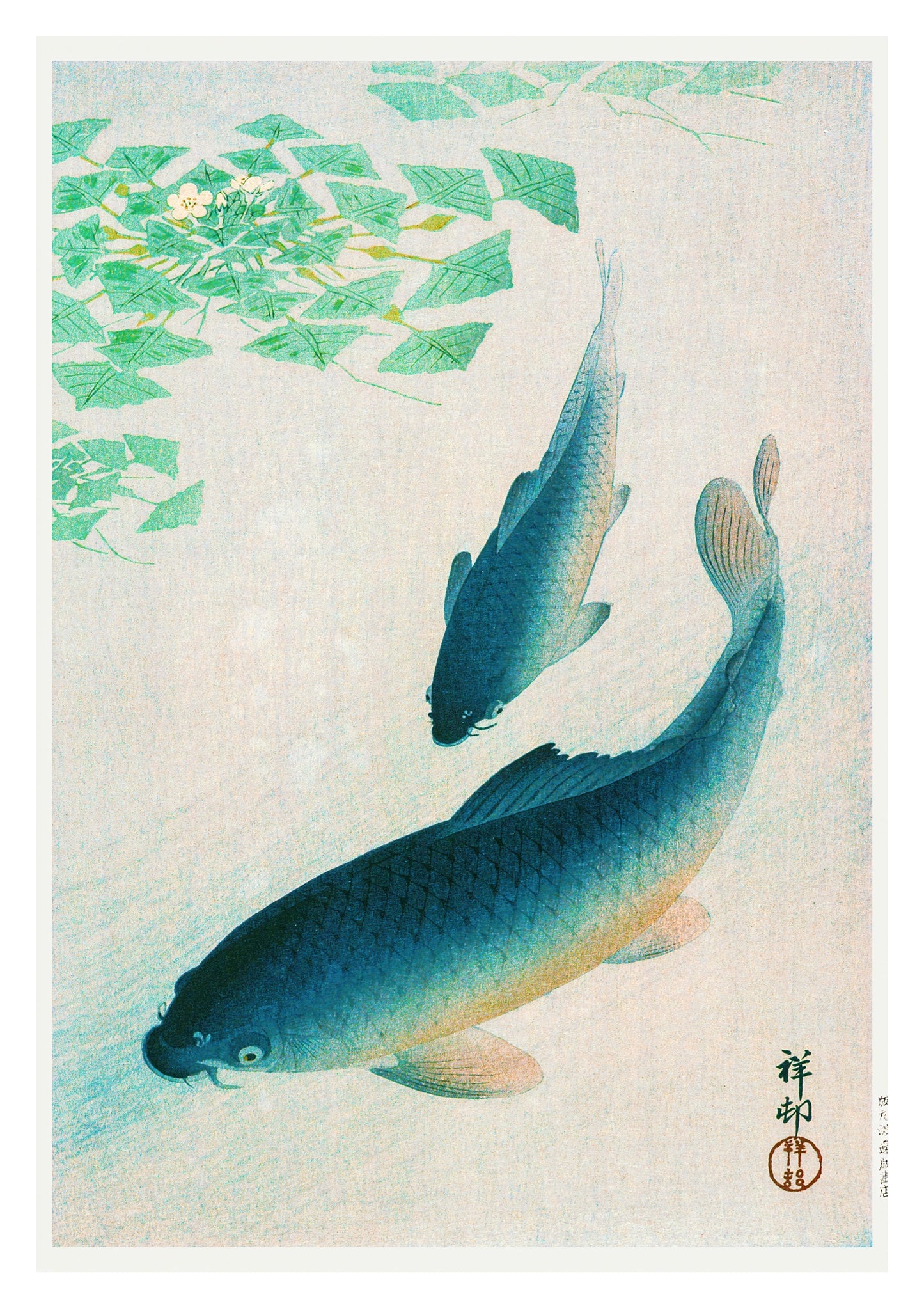 Blue Koi Fish