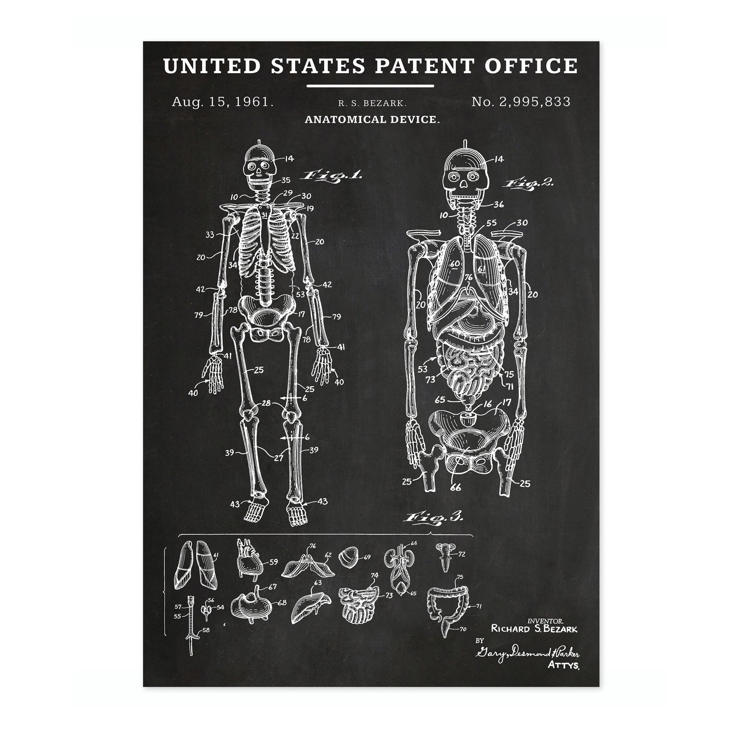 Dispositif anatomique