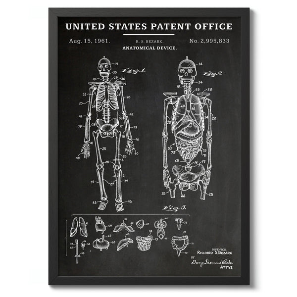 Anatomical Device