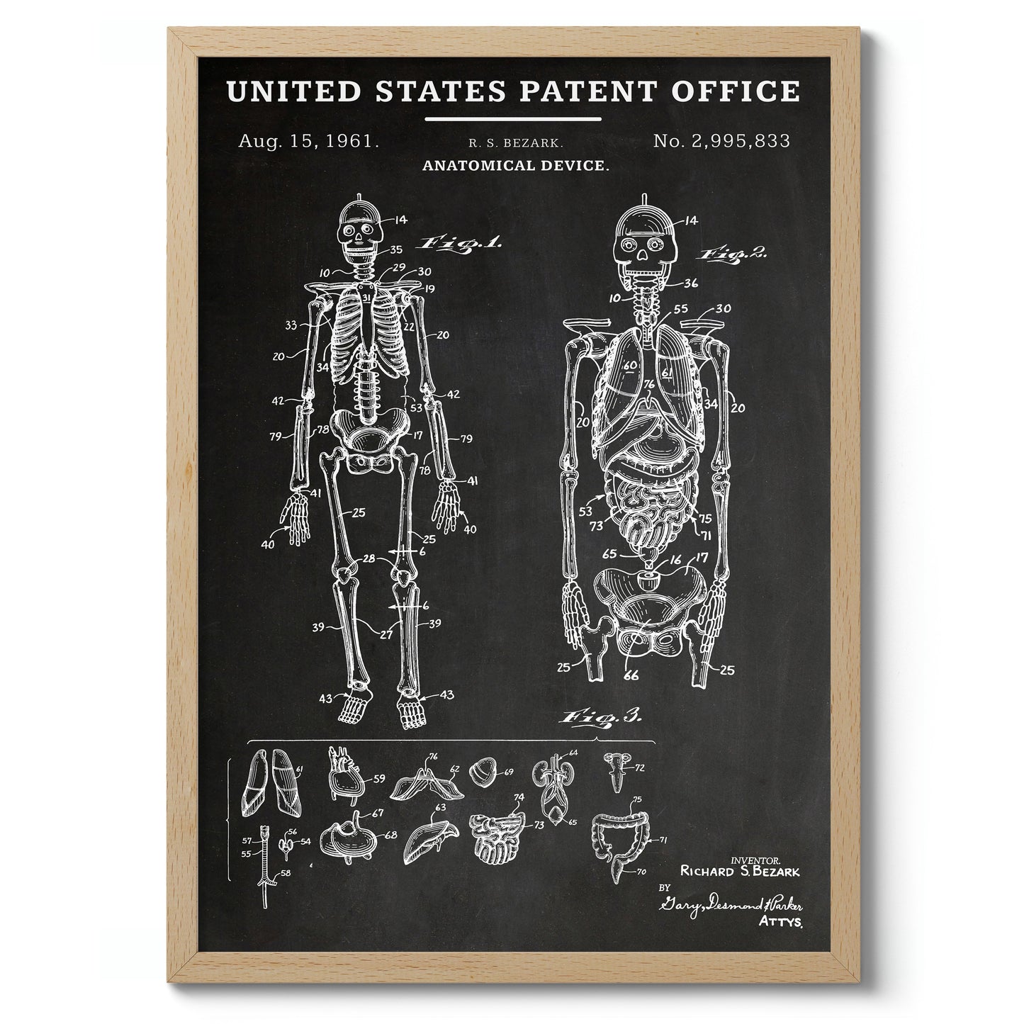 Dispositif anatomique