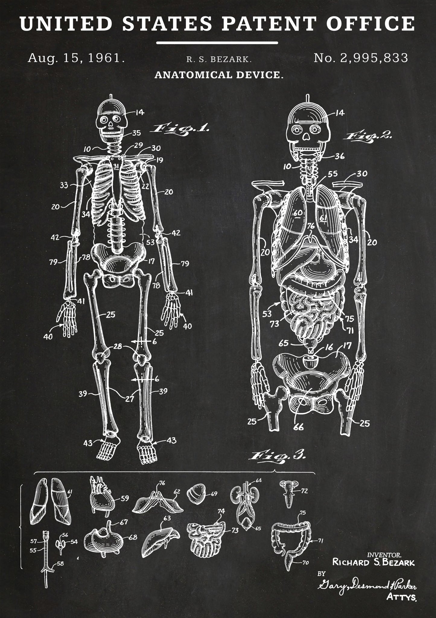 Dispositif anatomique