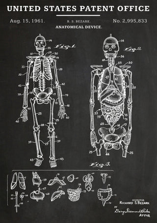 Dispositif anatomique print