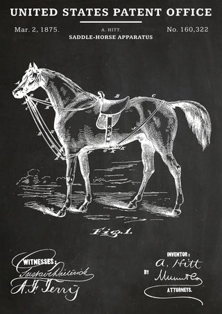 Saddle Apparatus print